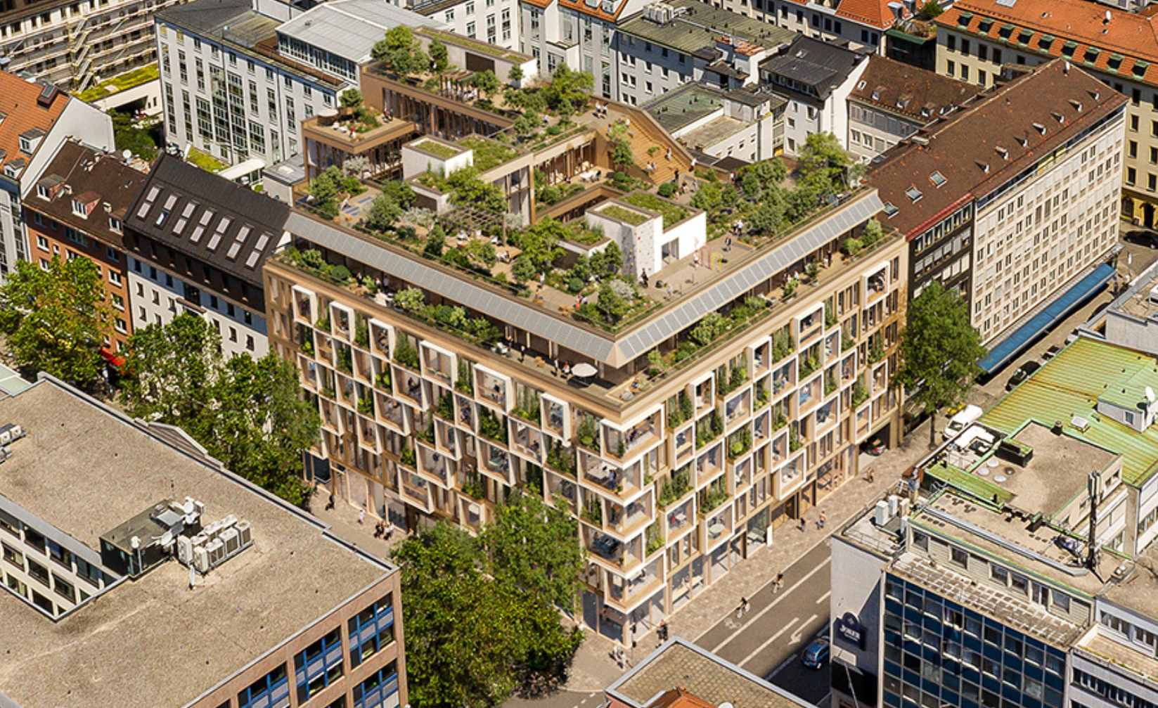 250811_S36_Website-Header (1)