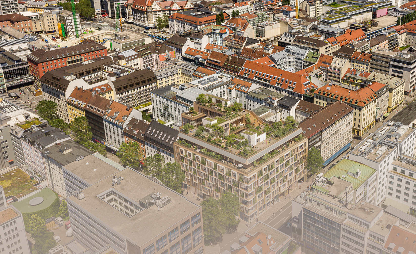 250811_S36_Website-Header